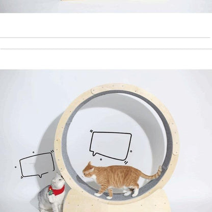 Cat Fitness Fun Roller-4